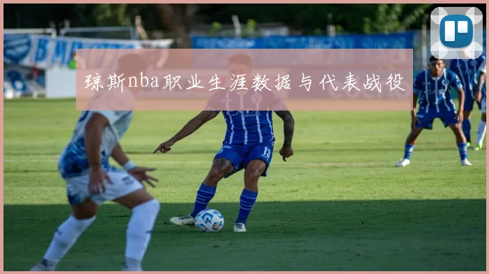 琼斯nba职业生涯数据与代表战役