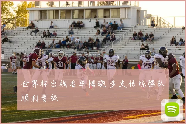 世界杯出线名单揭晓 多支传统强队顺利晋级