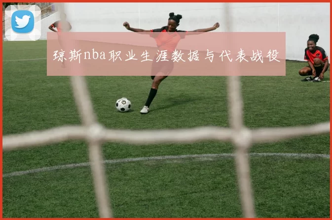 琼斯nba职业生涯数据与代表战役