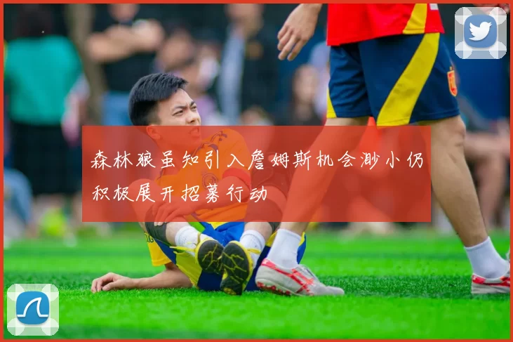 森林狼虽知引入詹姆斯机会渺小仍积极展开招募行动