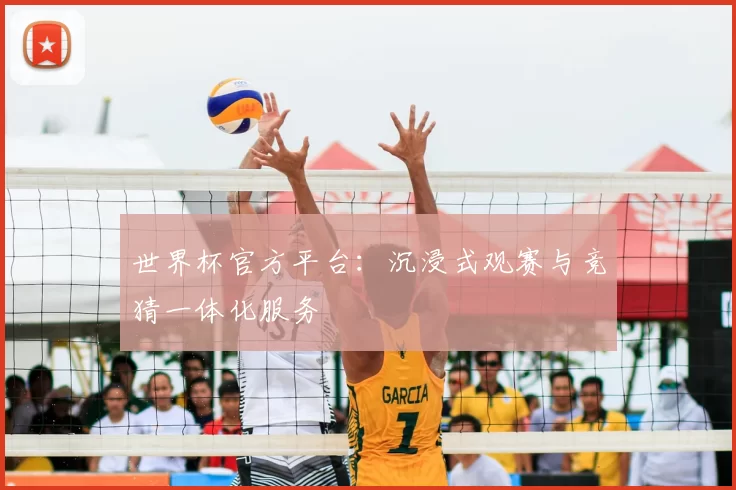 世界杯官方平台:沉浸式观赛与竞猜一体化服务