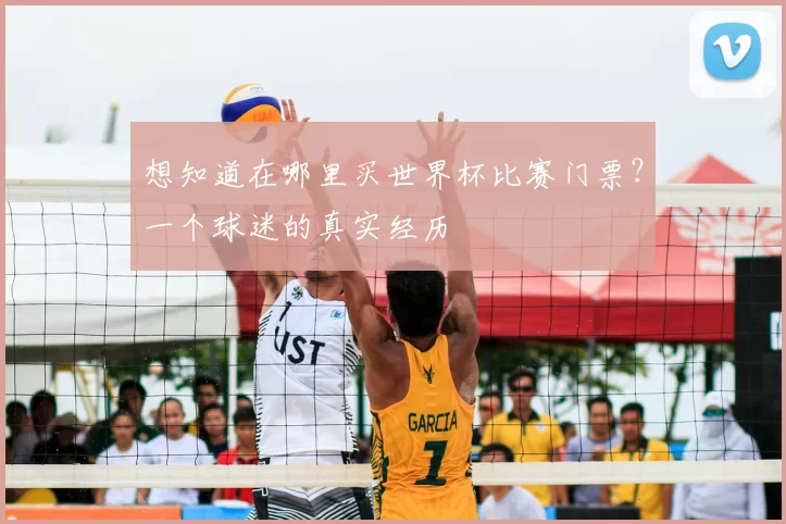 想知道在哪里买世界杯比赛门票？一个球迷的真实经历