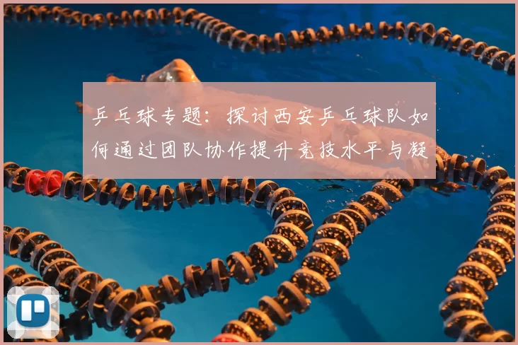 乒乓球专题：探讨西安乒乓球队如何通过团队协作提升竞技水平与凝聚力