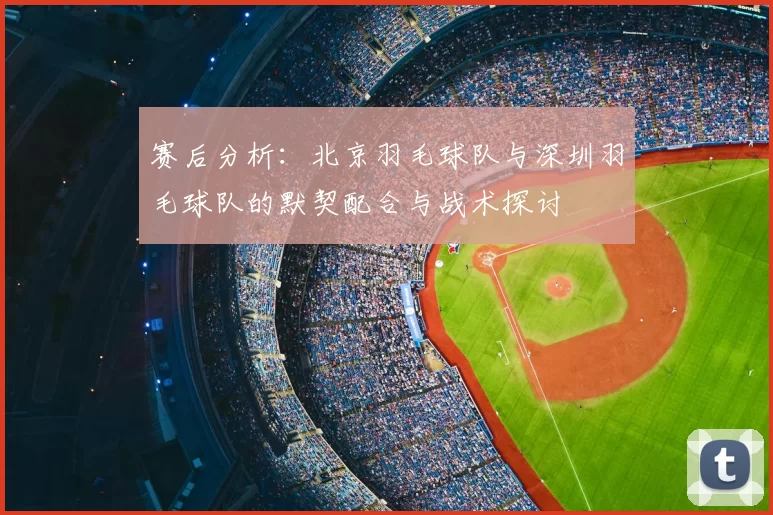 赛后分析：北京羽毛球队与深圳羽毛球队的默契配合与战术探讨