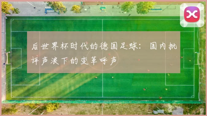 后世界杯时代的德国足球:国内批评声浪下的变革呼声