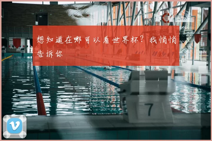 想知道在哪可以看世界杯?我悄悄告诉你