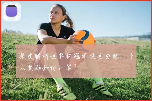 深度解析世界杯冠军奖金分配：个人奖励如何计算？
