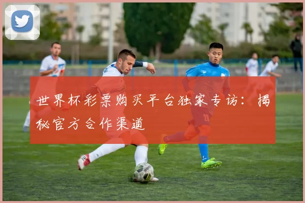 世界杯彩票购买平台独家专访：揭秘官方合作渠道