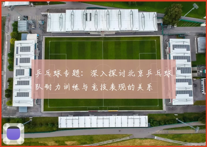 乒乓球专题：深入探讨北京乒乓球队耐力训练与竞技表现的关系