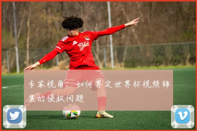 专家视角：如何界定世界杯视频锦集的侵权问题