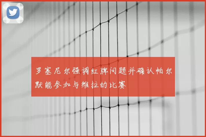 罗塞尼尔强调红牌问题并确认帕尔默能参加与维拉的比赛