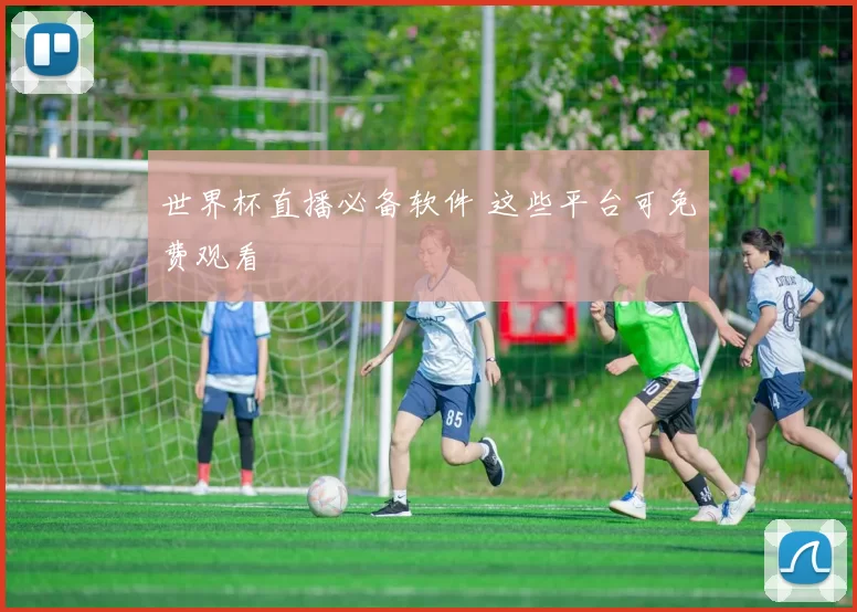 世界杯直播必备软件 这些平台可免费观看