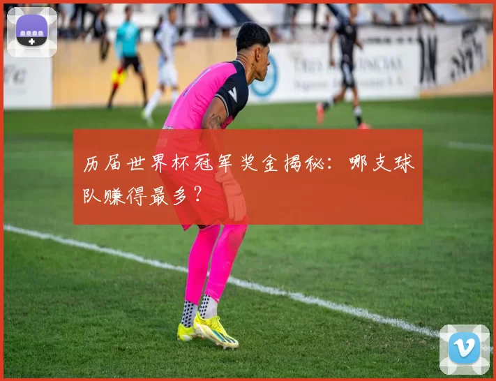 历届世界杯冠军奖金揭秘:哪支球队赚得最多?